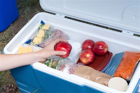 keep food cold outdoor party|keeping food cold at picnics.